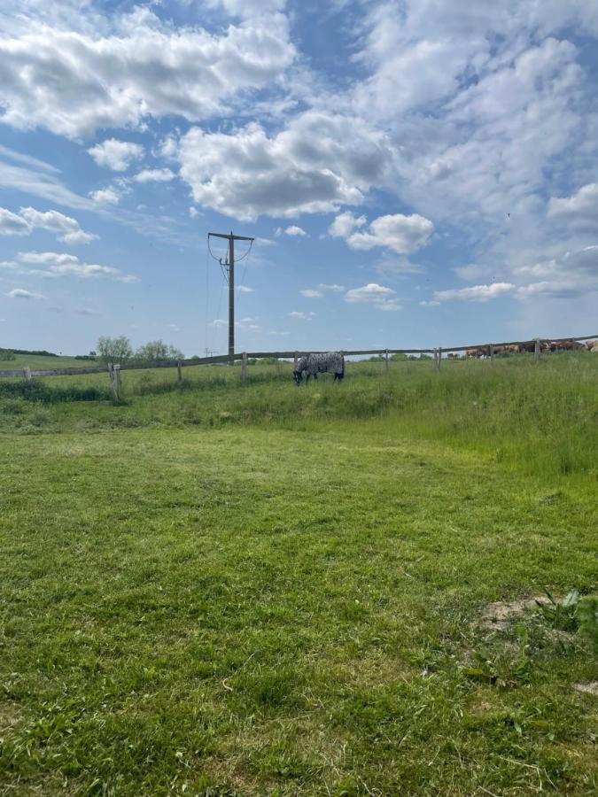 Ferienwohnung Mit Kamin Und Traumhafter Dachterrasse Mit Weitblick In Die Natur Neu Gaarz Esterno foto